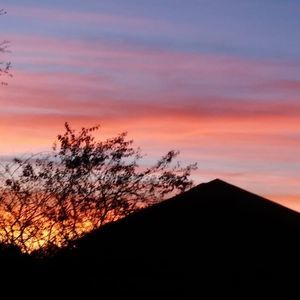 Meet your Posher, Debbra